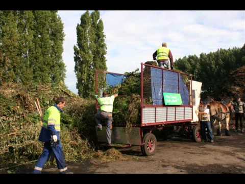 Ramassage des déchets verts à Beuvry-la-Forêt