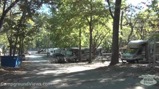 Cooper Creek Campground Video