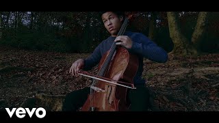 Sheku Kanneh-Mason - The Swan - Sheku Kanneh-Mason (Inspiration)