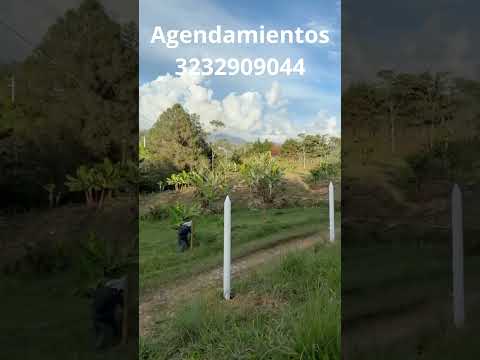 Lotes campestres con escritura pública al 100% en Santo Domingo, Antioquia