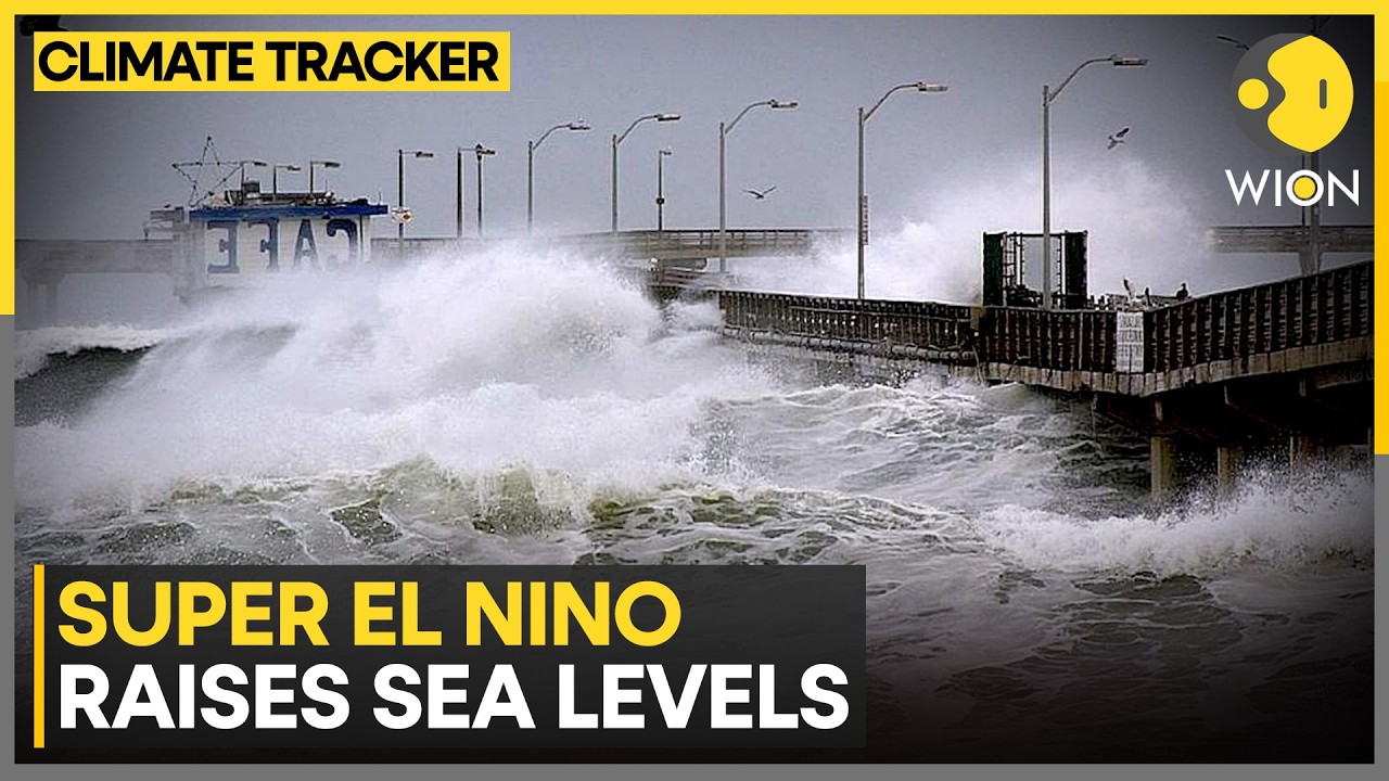 Rising Oceans Could Turn Powerful Storms into Disaster | WION Climate Tracker