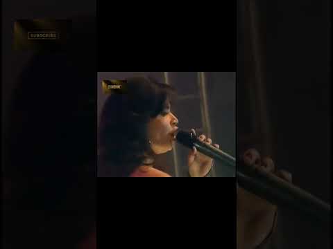 Meu Paraíso - Banda Sayonara
