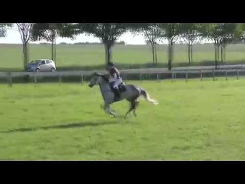 E-Vielseitigkeit in Altenstadt, 3. Platz ♥