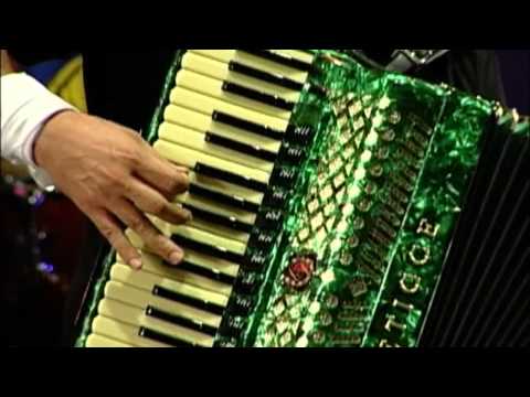 Amazan em Jardim - Flor de Primavera