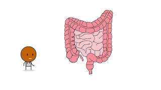 Appendicitis Unraveled: Everything you NEED TO KNOW