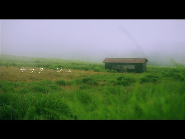 adieu「ナラタージュ」（※作詞作曲：野田洋次郎／映画「ナラタージュ」主題歌／MVサイズ）