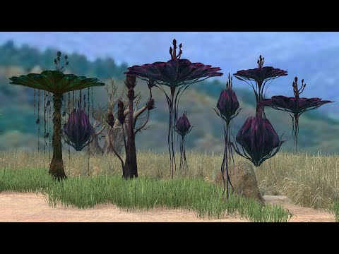 Tree for iclone7 8  Free download  Part 1