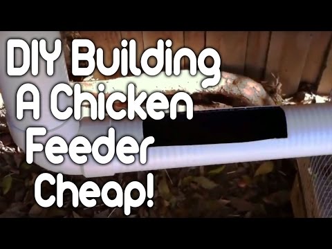 , title : 'DIY membangun pengumpan ayam! MURAH!!!'