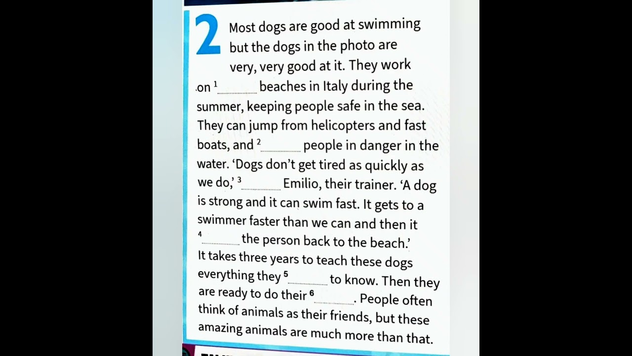 our animal friends, prepare 6, unit 16