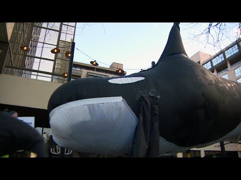 B.C. reacts to NEB approval of Trans Mountain Pipeline expansion