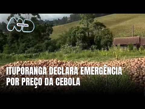 Ituporanga decreta emergência por queda no preço da cebola