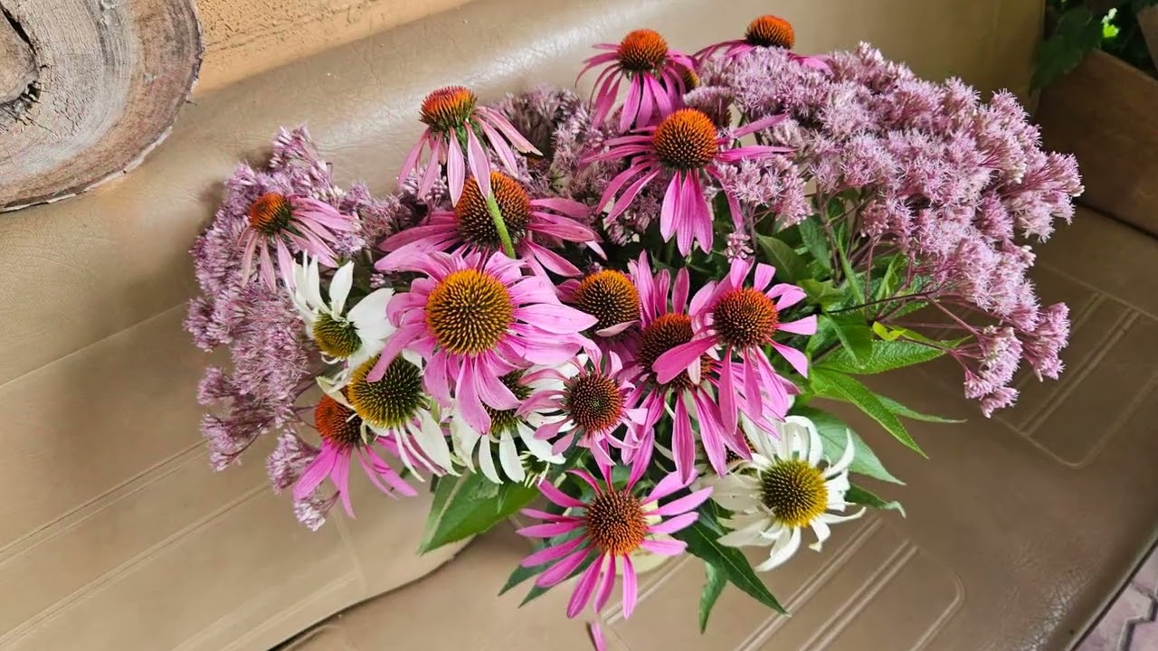 Август в саду @Svetik Chudnova