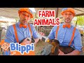 Blippi Visits The Farm Animals Learn About Animals Kids TV Show Educational Videos For Kids