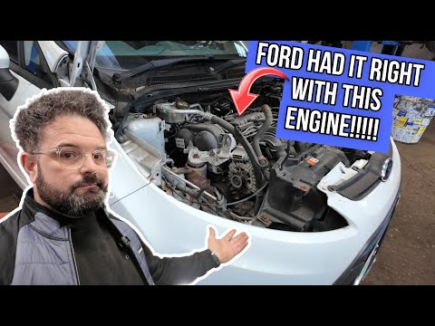 FIESTA ZETEC S!! ONE TIMING BELT I DO ENJOY REPLACING AND SUCH A GREAT ENGINE TO WORK ON.......