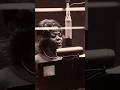 Dinah Washington's Love Life: 7 Marriages & 2 Sons! #celebrity #shorts #hollywood