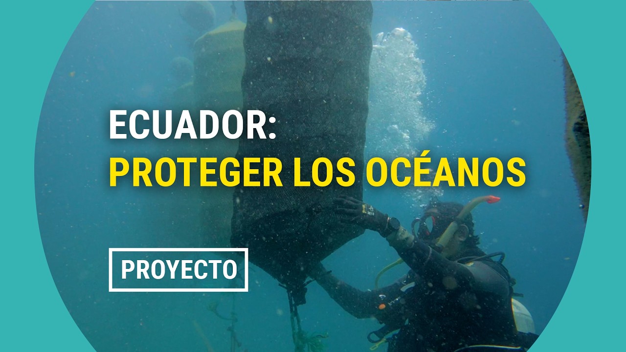 Ecuador: ¿Puede el arte realmente salvar el océano?