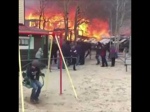 kaether - the flies in my room know your darkest secerets