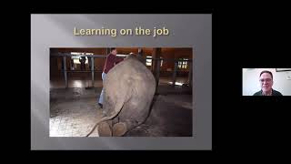 Osteopathy for Elephants - Achieving the Impossible