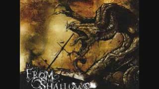 From the Shallows - Deadbolted Hell