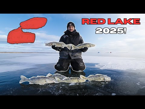 Early Ice RED LAKE 2025 (The Fish Are Fired Up!)