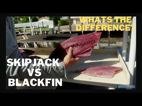 , title : 'Is Skipjack Tuna Good to Eat??'