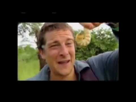 Kshitij Pawar Man vs wild marathi translation