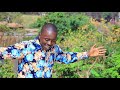 JESU NINGWENDETE SKIZA CODE SEND 7479356 TO 811