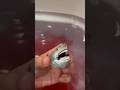 Who knew blood + sea water could smell this good? #jaws #shark #bath #bathbomb #japan