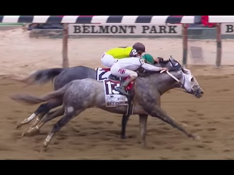 "Belmont Stakes" - 11-06-2016 - Belmont Park - "Creator"