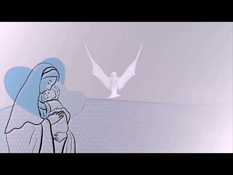 Miki Stancu vreau să mă apropi de tine 4k  #Cristocentric