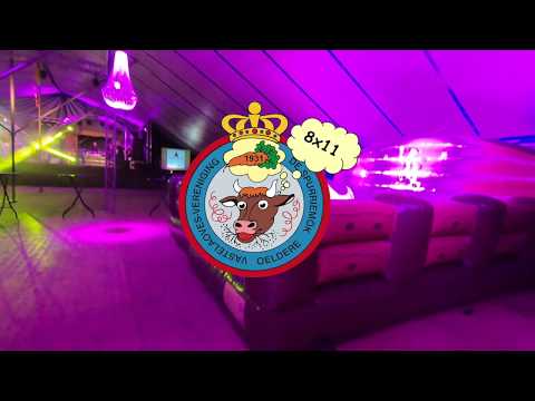 8x11 Jubileumfieëst