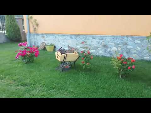 Pensiunea Miraj - Polovragi