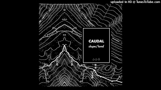 Caudal - Land (Excerpt)