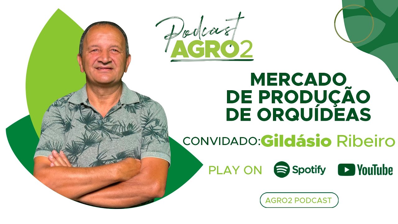 Produção de variedades de orquídeas é opção rentável para produtores rurais #317