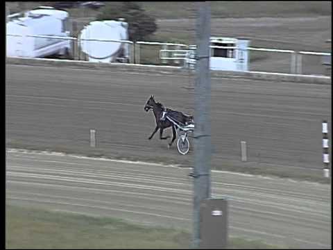 Trotto 07/06/2015 - 3° prova di qualifica