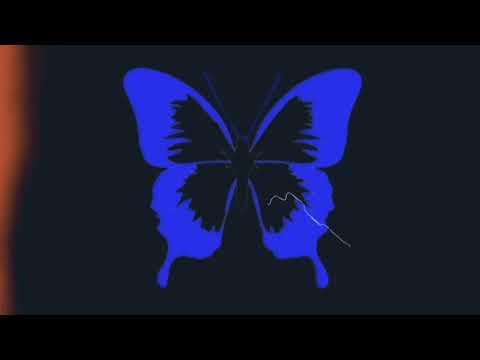 The Adresov — Бабочки ( Jipexa & GROMUSIC BY Remix) 🦋