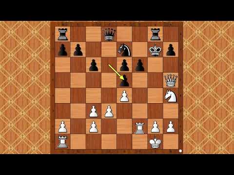 Napad na crnog po receptu Capablanca vs STEINER  - Igra četiri Skakača # 1177