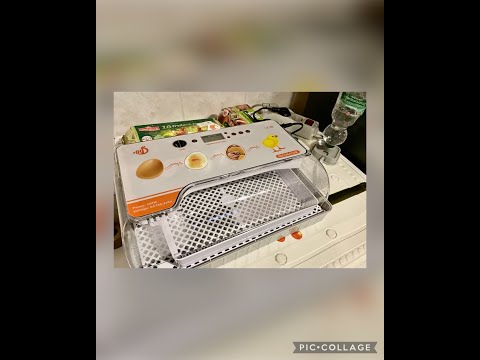 Teil 1 Brutautomat - Test