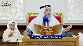 495 - ما ضابط العدل بين الزوجات؟ - عثمان الخميس