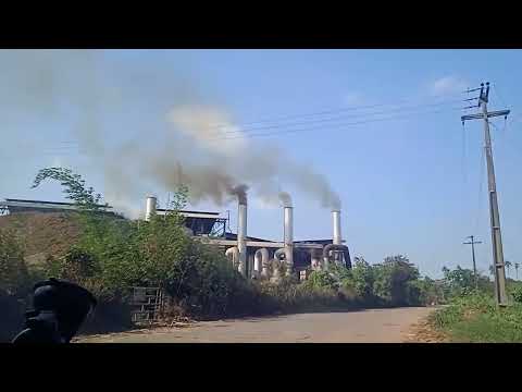 Usina cucau,rio formoso Pernambuco 