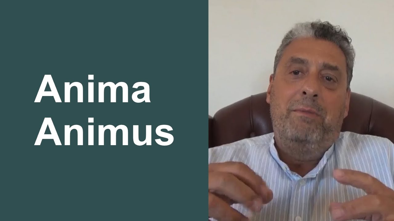 Anima e Animus | Psicologia Junguiana | Dr. Waldemar Magaldi Filho - IJEP