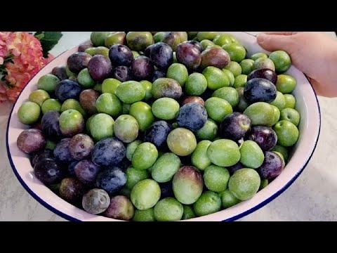 Video thumbnail: Buka me Ullinj të Zinj