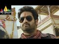 Jr.NTR Action Scenes Back to Back | Telugu Action Scenes | Sri Balaji Video