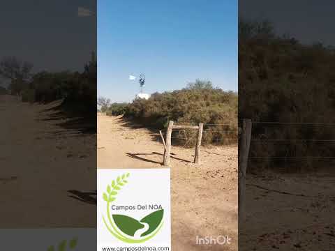 Campo ganadero en Estación Taboada, provincia Santiago del Estero.