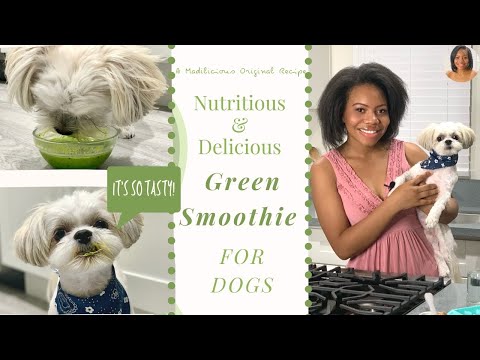 Green Smoothie for Dogs Recipe| 5 Minutes!| Madilicious