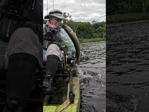 Almost Kissed by a #Pike - 6/27/25