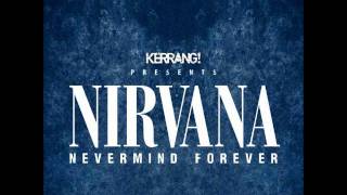 On a Plain - Frank Turner (Nirvana Cover)