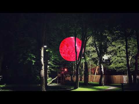 WhaleSounds - Vėtra