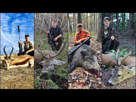 Erntejagd Drückjagd Pirsch | JAHRESRÜCKBLICK 2020 - Jagdkrone