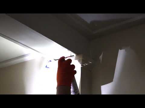 Horrific Cockroach Infestation in Neptune, NJ